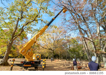 Pruning of plants in Yoyogi Park, Tokyo 88661195
