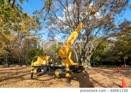東京代代木公園的植物修剪 88661198