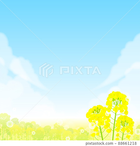 Background material Rape blossoms Blue sky Soap bubbles Background material Rape blossoms Blue sky Soap bubbles 88661218