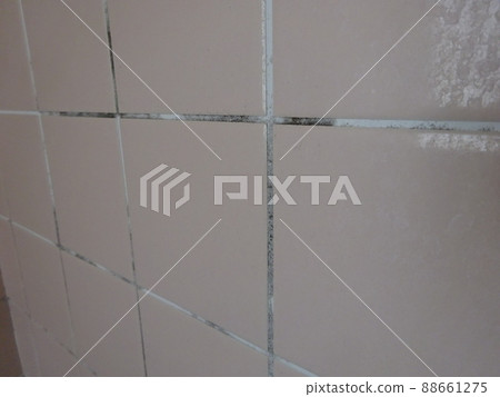 Mold grows on tile joints in the bathroom 88661275