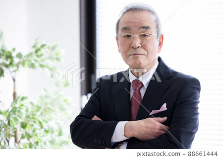 Business senior male executive portrait Business senior male executive portrait 88661444