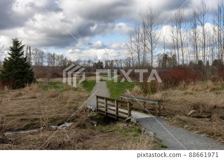 Scenic path in a park with green field and trees in a city. 88661971