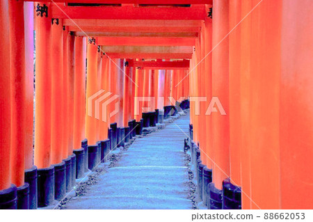 Senbon Torii in the morning in Kyoto 88662053