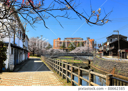 內川河綠地櫻花 大泉橋 內川河綠地櫻花 大泉橋 88662385