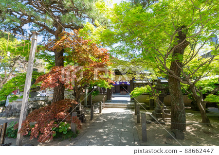 《Fukuoka Prefecture》 Kurume Sosha Hiyoshi Shrine Kurume City, Fukuoka Prefecture 88662447