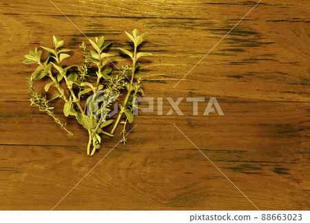 Fresh thyme and origanum Fresh thyme and origanum 88663023