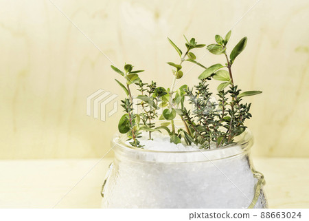 Oregano , thyme and cooking salt 88663024