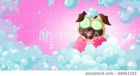 Dogs spa and pets care grooming service concept Dogs spa and pets care grooming service concept 88663283