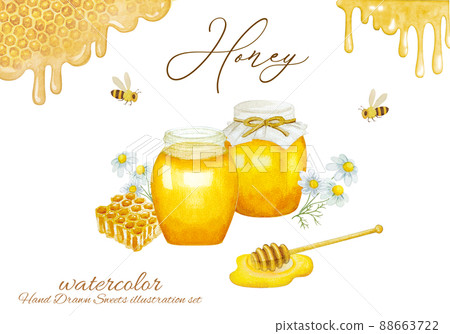 白花和蜂蜜的水彩插圖集 88663722