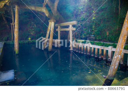 神社的神秘池塘 神社的神秘池塘 88663791