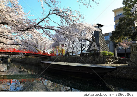 Sakura Sakura Sakura Walk around the Suimon River in full bloom 52 (Suimon River, Ogaki City, Gifu Prefecture) Sakura Sakura Sakura Walk around the Suimon River in full bloom 52 (Suimon River, Ogaki City, Gifu Prefecture) 88663862