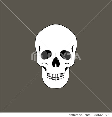 Skull of Human Organism Black Vector Illustration Skull of Human Organism Black Vector Illustration 88663972