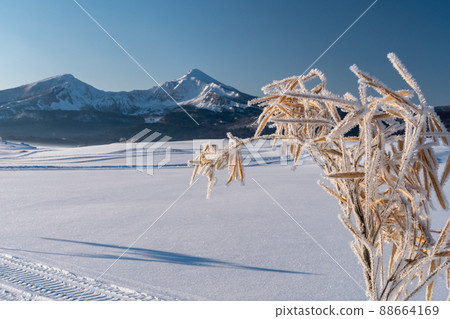 霧冰的亮度 霧冰的亮度 88664169