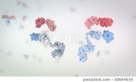 The structure of a typical antibody molecule.Antibodies and amino acids 88664639