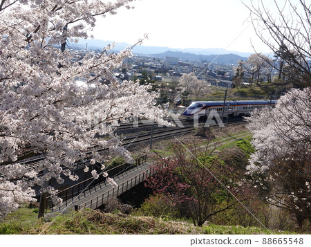 Sakura Express SAKURA EXPRESS Yamagata Shinkansen Tsubasa Sakura Express SAKURA EXPRESS Yamagata Shinkansen Tsubasa 88665548