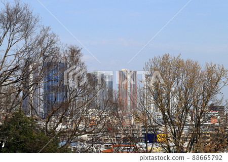 Musashi Kosugi 摩天大樓從 Hiyoshi 公園的遠景 Musashi Kosugi 摩天大樓從 Hiyoshi 公園的遠景 88665792