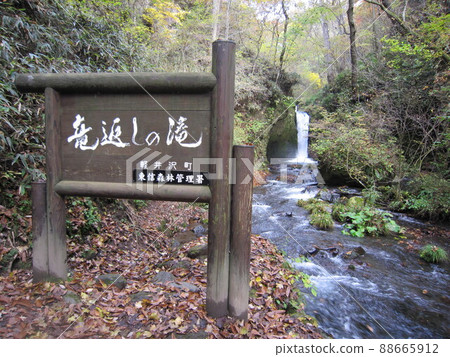 Autumn Dragon Return Waterfall (Karuizawa Town) 88665912