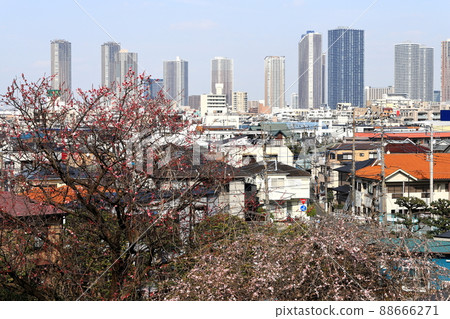 Musashi Kosugi skyscrapers distant view from Hiyoshi Park Musashi Kosugi skyscrapers distant view from Hiyoshi Park 88666271