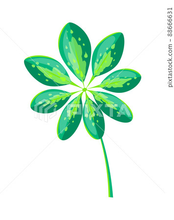 Schefflera Arboricola Leaf Vector Illustration 88666631