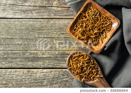 Fried salty worms. Roasted mealworms on wooden spoon. 88666664