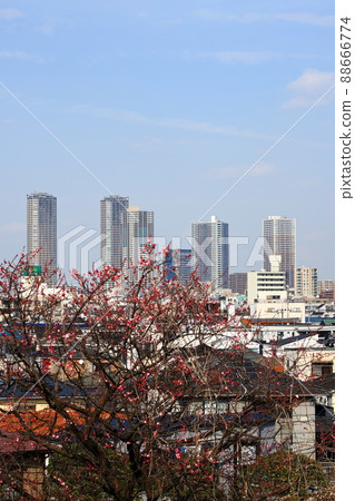 Musashi Kosugi skyscrapers distant view, vertical position from Hiyoshi Park Musashi Kosugi skyscrapers distant view, vertical position from Hiyoshi Park 88666774