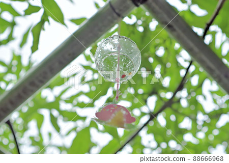 Wind chimes that color the summer 88666968