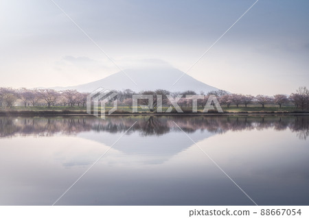 Morning at Hahakojima Reservoir, Chikusei City, Ibaraki Prefecture 88667054