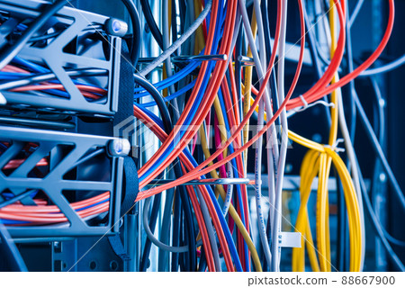 detail of large number of ethernet cables tied together connecting racks inside server room 88667900