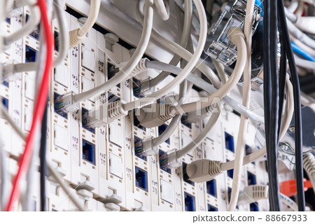 patch cables connected to switch inside server room 88667933