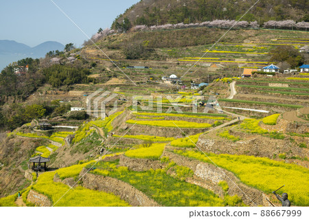 Darengi Village Darengi Village 88667999
