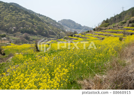 Dumo Village Dumo Village 88668915