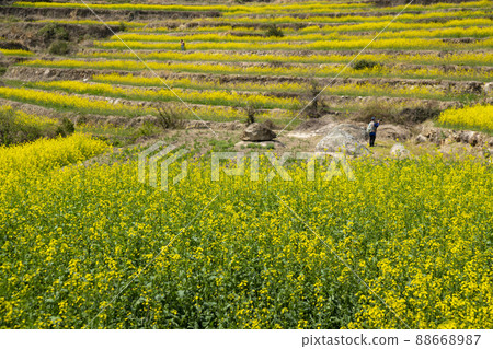 Dumo Village 88668987
