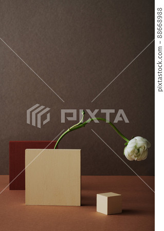 Vertical contemporary still life shot of fresh white flower, beige and red-brown tiles and cube against dark Wenge brown wall background 88668988