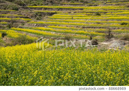 Dumo Village 88668989