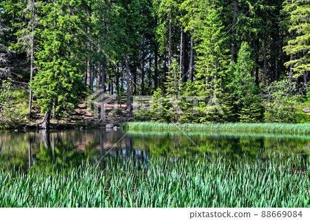Tarn Vrbicke pleso in Low Tatras mountains, Slovakia. Tarn Vrbicke pleso in Low Tatras mountains, Slovakia. 88669084