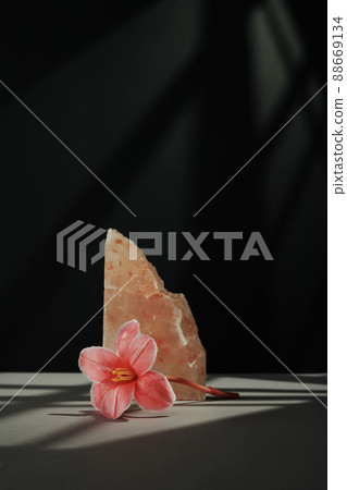 Vertical minimalistic still life composition of beautiful flower and pink rock salt on gray table against black wall background in gobo lighting Vertical minimalistic still life composition of beautiful flower and pink rock salt on gray table against black wall background in gobo lighting 88669134