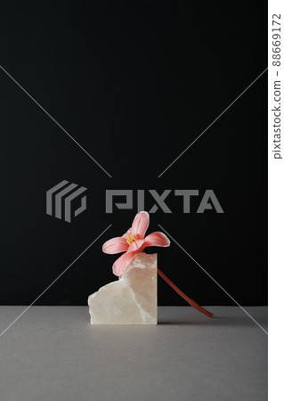 Vertical modern still life composition of pink flower and rock salt on gray table against black wall background Vertical modern still life composition of pink flower and rock salt on gray table against black wall background 88669172