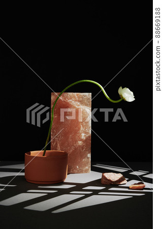 Vertical minimalistic still life composition of one white flower in clay pot and pink rock salt on table in gobo lighting, black wall background Vertical minimalistic still life composition of one white flower in clay pot and pink rock salt on table in gobo lighting, black wall background 88669188