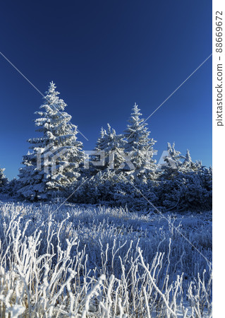 Winter landscape near Velka Destna, Orlicke mountains, Eastern Bohemia, Czech Republic 88669672