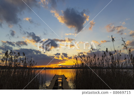 Rezabinec pond, Southern Bohemia, Czech Republic 88669715