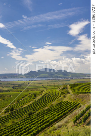 Vineyards near Nove Mlyny reservoir with Palava in Southern Moravia, Czech Republic Vineyards near Nove Mlyny reservoir with Palava in Southern Moravia, Czech Republic 88669727