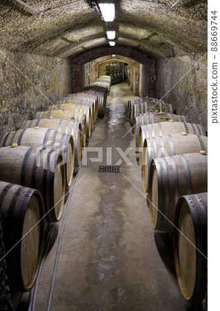 Wine cellars with barrels, traditional wine called Bikaver near Eger, Hungary 88669744