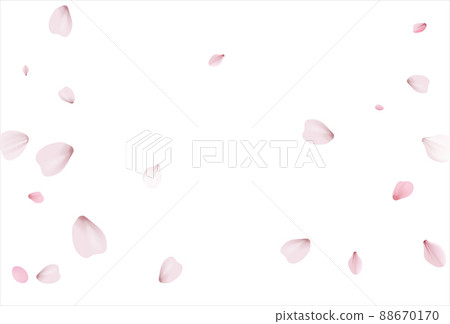 Pink sakura vector background, cherry flowers Pink sakura vector background, cherry flowers 88670170