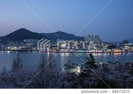 麗水區港 麗水區港 88671035