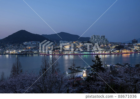 麗水區港 麗水區港 88671036