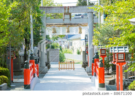 [Japan] An unmanned approach and torii lined with red lanterns at Suzuka Shrine in Kanagawa 88671100