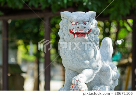 [Japan] Stone statue of guardian dog sitting at the entrance of Suzuka Shrine, Kanagawa 88671106