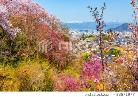 View of Fukushima city and snowy mountains from Mt. Hanami View of Fukushima city and snowy mountains from Mt. Hanami 88671977