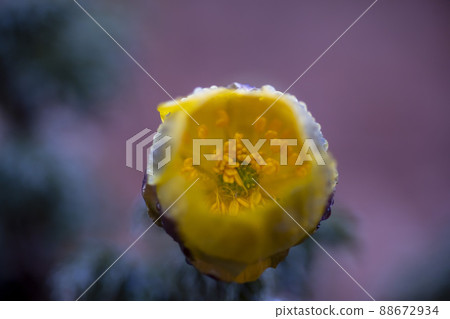 Plural seconds Plural seconds 88672934