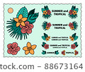 Tropical flowers and leaves (hibiscus, plumeria) 88673164
